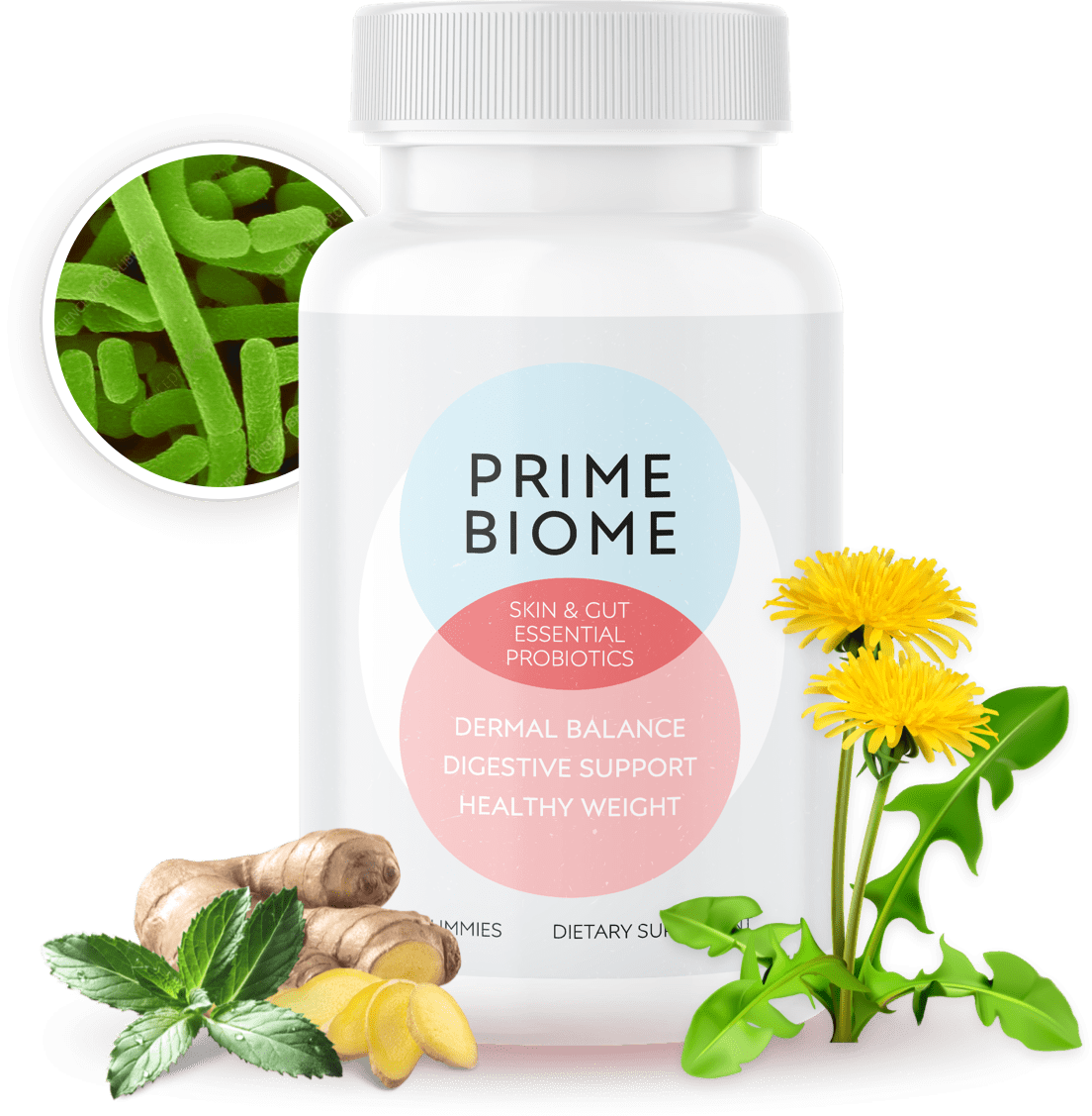 You are currently viewing PrimeBiome MW Reviews 2025: Does This Gut-Skin Supplement Really Work? (Expert Analysis)
